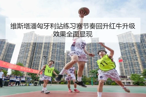 维斯塔潘匈牙利站练习赛节奏回升红牛升级效果全面显现