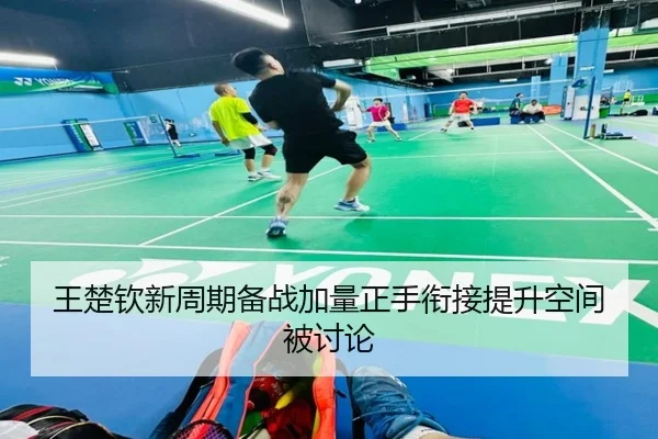 王楚钦新周期备战加量正手衔接提升空间被讨论